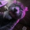 the_basement_rats