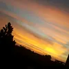 thien_y_y