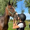 horse.lover2.2