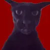 ilikeyourmeme97