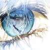 fly___edge