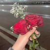 nirob.3420