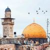 abdullahelshafei1