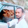 user3779217403868