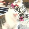 cinnamoroll_rotha