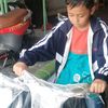 Adun 1.6