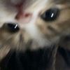 ali_hamoud7