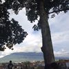 dinata.fms