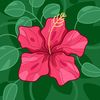 ashiq.hussain328