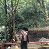 bunga_sariti