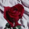 sathian28159