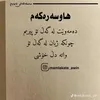 hamo.zhyanm1
