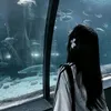 nyashka_8536