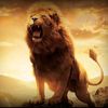 mubeen.ahmed04