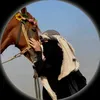 khadija3054