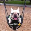 panchito_fino777
