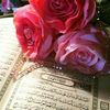 haroun3233