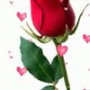 francine0639