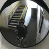 krazzyguyon8s