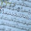 salma.ahmed614