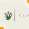 تــولــيــب | Tulip