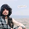 M HASSANI