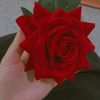 user79jvd