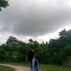 marylpongasi