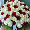 ahmed.amine024