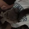 luh.._35