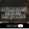 user8235000488412