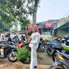 siti.desi6