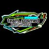 team_sosmed_batumarta