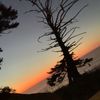 cam_halsell09