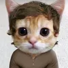 hncricket0