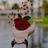 user8001208427546