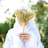 sarahlugioman