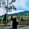 nopiw_piw28