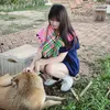 tolathithuy