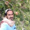sirdaliwazir110
