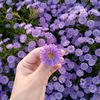 noura.ayedi2