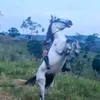 susanapatriciamon7