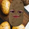 cellajaa_