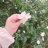 __nurca__