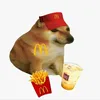 memecuacheems