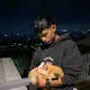 rulyprihandika