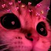 user2881878061062