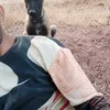 hamiddib755