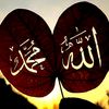 user9398324248190