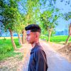 userasel12345678
